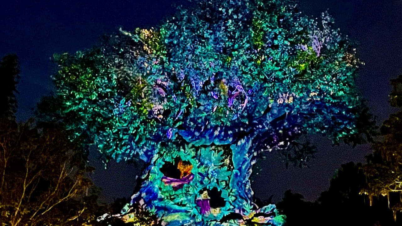 Tree Of Life Awakenings Returns Disney’s Animal Kingdom November 5th